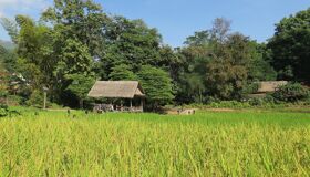 Begin your visa-prepared day with Laos’s tranquil ambiance